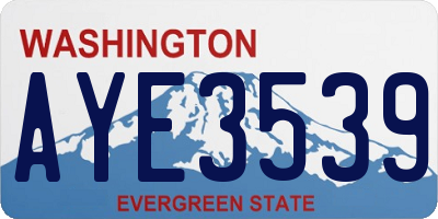 WA license plate AYE3539