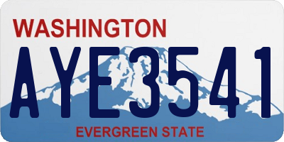 WA license plate AYE3541