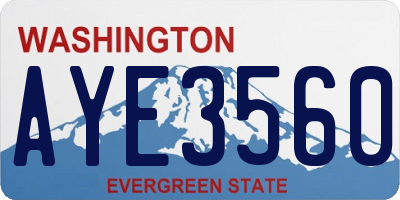 WA license plate AYE3560
