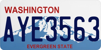 WA license plate AYE3563