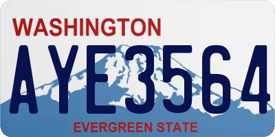 WA license plate AYE3564