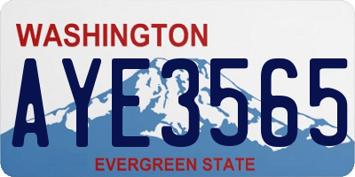 WA license plate AYE3565