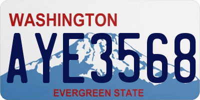 WA license plate AYE3568