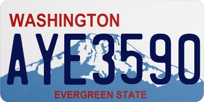 WA license plate AYE3590
