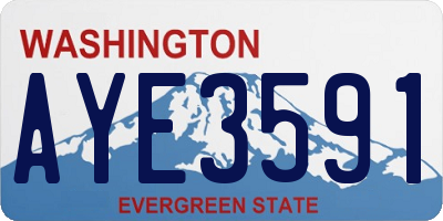 WA license plate AYE3591
