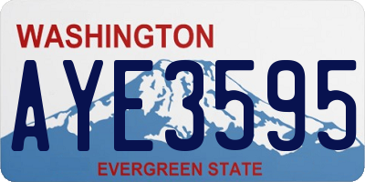 WA license plate AYE3595