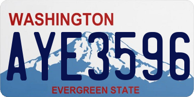 WA license plate AYE3596