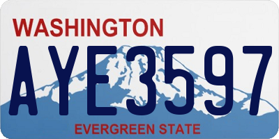 WA license plate AYE3597