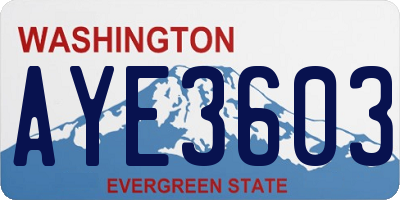 WA license plate AYE3603