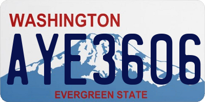 WA license plate AYE3606