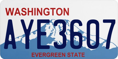 WA license plate AYE3607