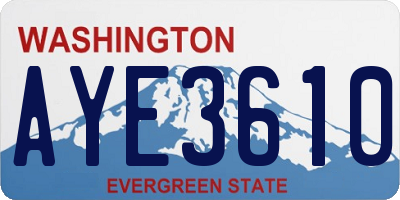 WA license plate AYE3610
