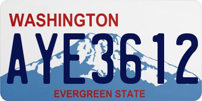WA license plate AYE3612