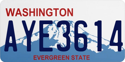WA license plate AYE3614