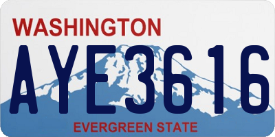 WA license plate AYE3616