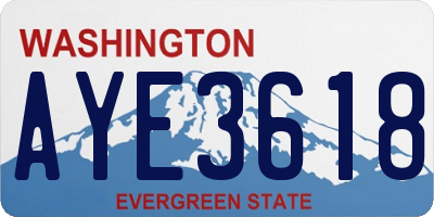 WA license plate AYE3618