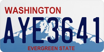 WA license plate AYE3641