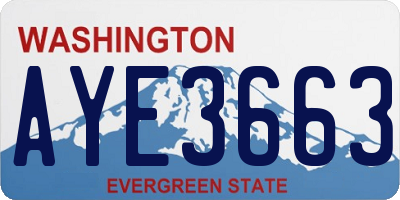 WA license plate AYE3663