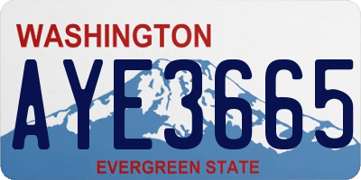 WA license plate AYE3665