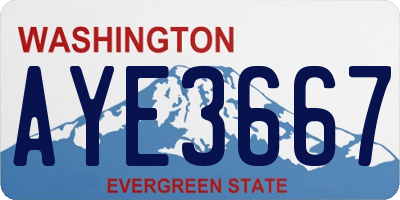 WA license plate AYE3667
