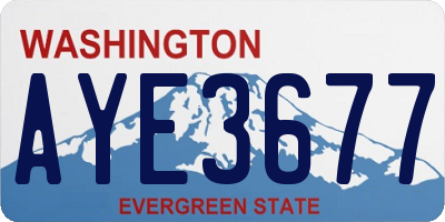 WA license plate AYE3677