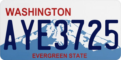 WA license plate AYE3725