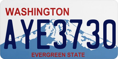 WA license plate AYE3730