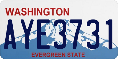 WA license plate AYE3731