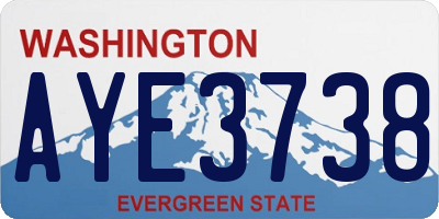 WA license plate AYE3738