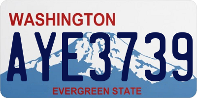 WA license plate AYE3739