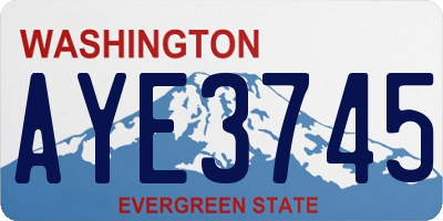 WA license plate AYE3745