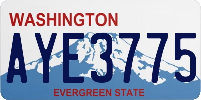 WA license plate AYE3775
