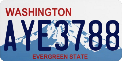 WA license plate AYE3788