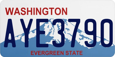 WA license plate AYE3790