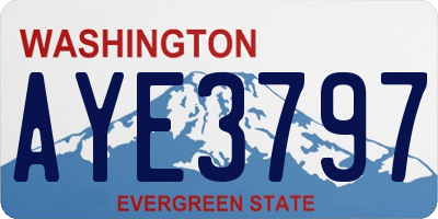 WA license plate AYE3797