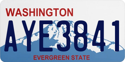 WA license plate AYE3841