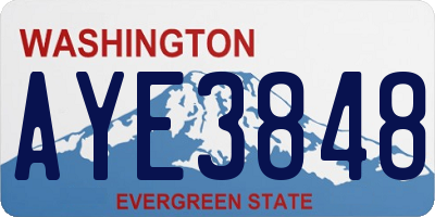 WA license plate AYE3848