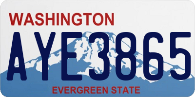 WA license plate AYE3865