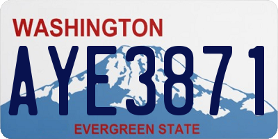 WA license plate AYE3871