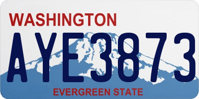 WA license plate AYE3873