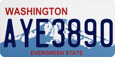 WA license plate AYE3890