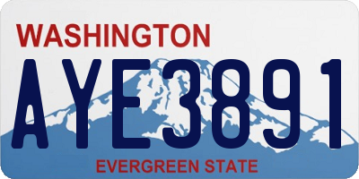 WA license plate AYE3891