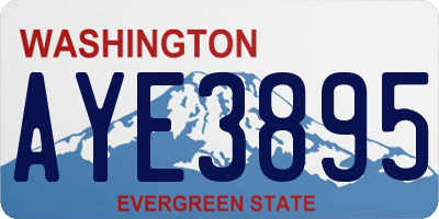 WA license plate AYE3895