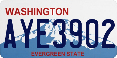 WA license plate AYE3902
