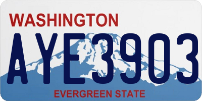 WA license plate AYE3903