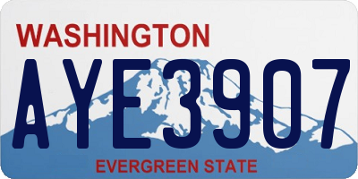 WA license plate AYE3907