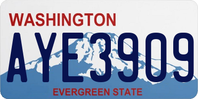 WA license plate AYE3909