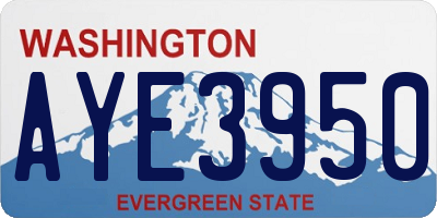 WA license plate AYE3950
