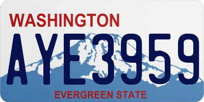 WA license plate AYE3959