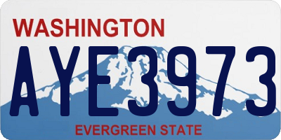 WA license plate AYE3973